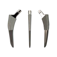 LDK 3D Baskı Tumor Artroplastisi