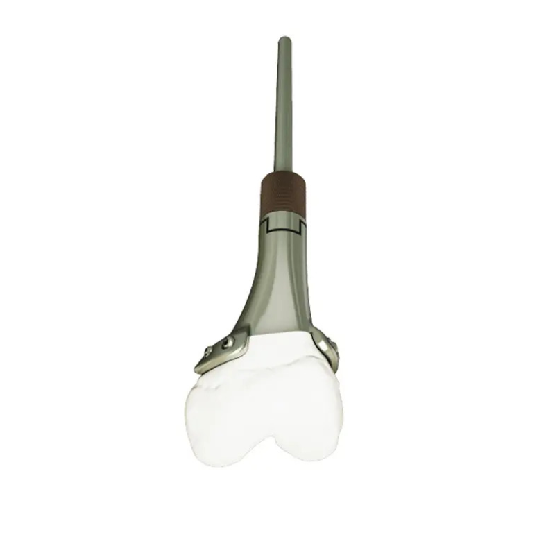 LDK 3D Baskı Tumor Artroplastisi